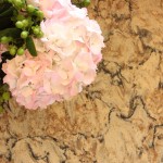 Cambria Quartz "Bradshaw" Countertops