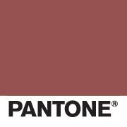 Pantone Color of the Year 2015 Chip